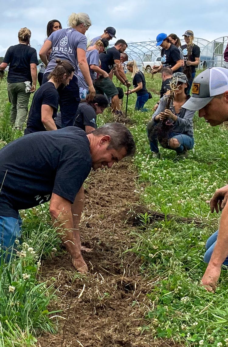 people working on the farm