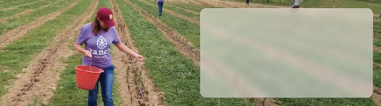 woman on the farm