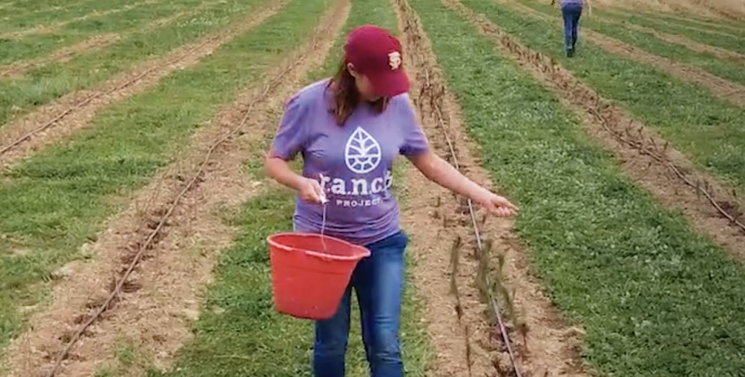 woman on the farm